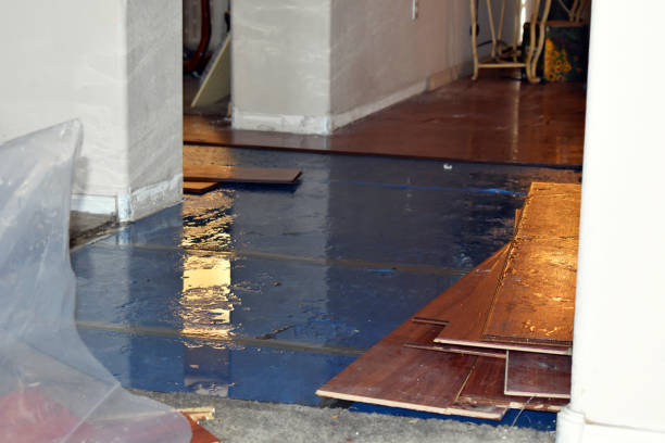 Professional Flood Damage Restoration technician working in Wallington, NJ